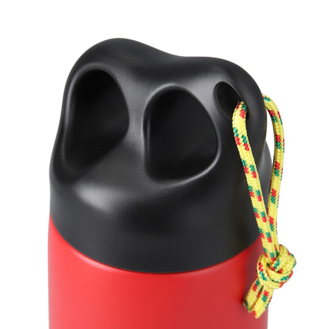 Camper Stainless Bottle 300 | CHUMS