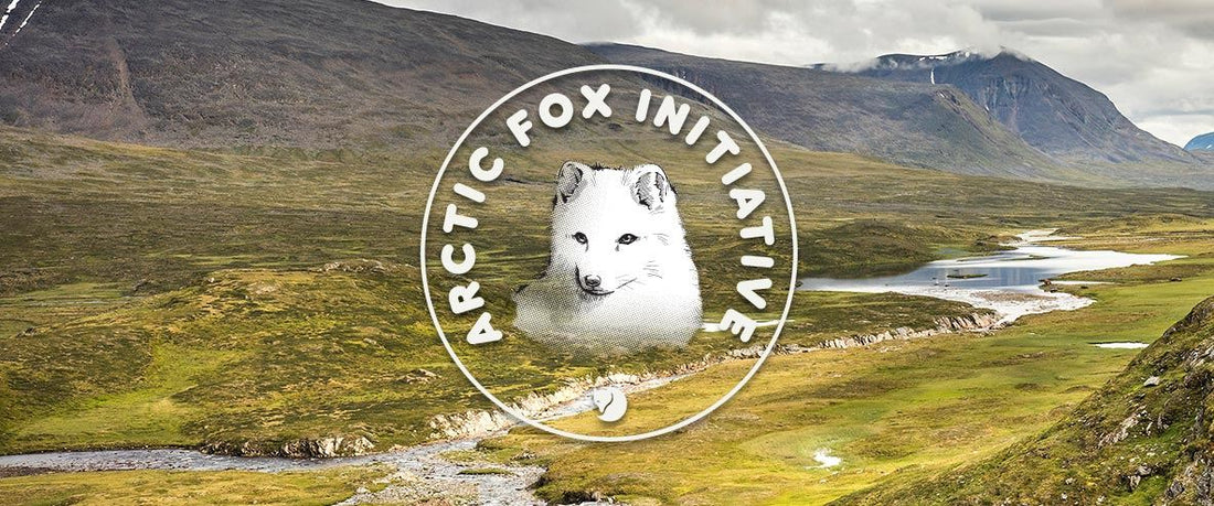 Arctic Fox Initiative องค์กรไม่แสวงหาผลกำไรแบรนด์ Fjällräven