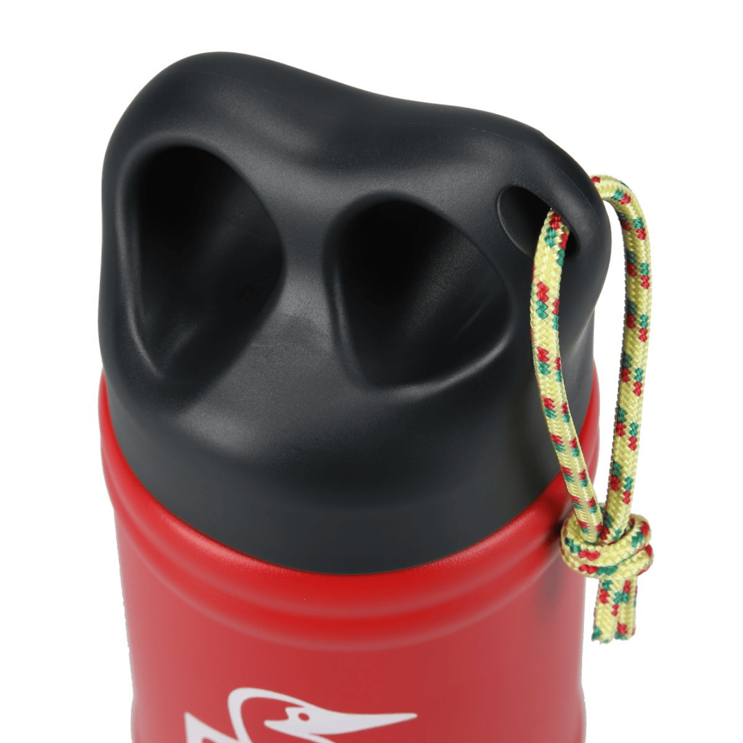 Camper Wave Bottle 300ml | CHUMS